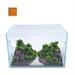 ACQUARIO VETRO C/ARREDO cm.30