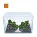 ACQUARIO VETRO C/ARREDO cm.30