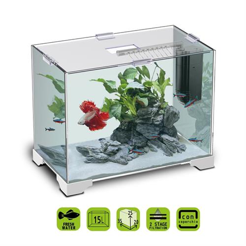 ACQUARIO ONLY