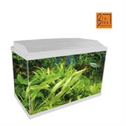 ACQUARIO GENIUS 40 BIANCO