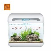 ACQUARIO DERBY BIANCO