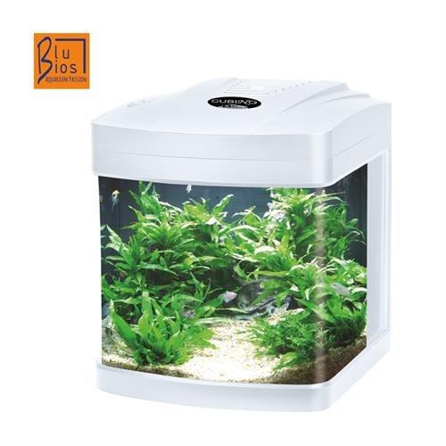 ACQUARIO CUBINO LED BIANCO