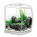 ACQUARIO ROXY 32 BIANCO