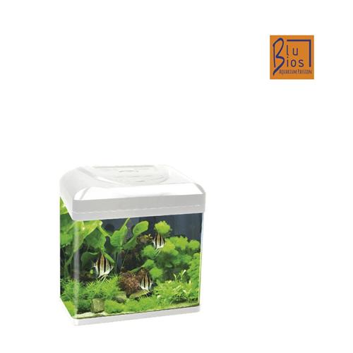 ACQUARIO BILLY 16 BIANCO