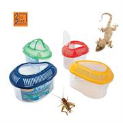 VASCHETTA PET BOX SMALL
