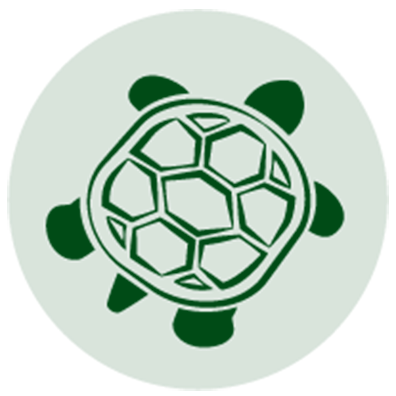 imgi_5_tartarughe-1