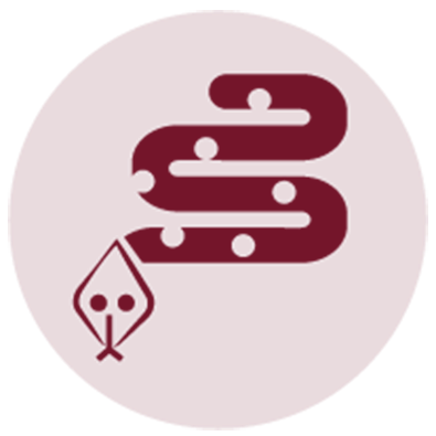 imgi_6_rettili-2